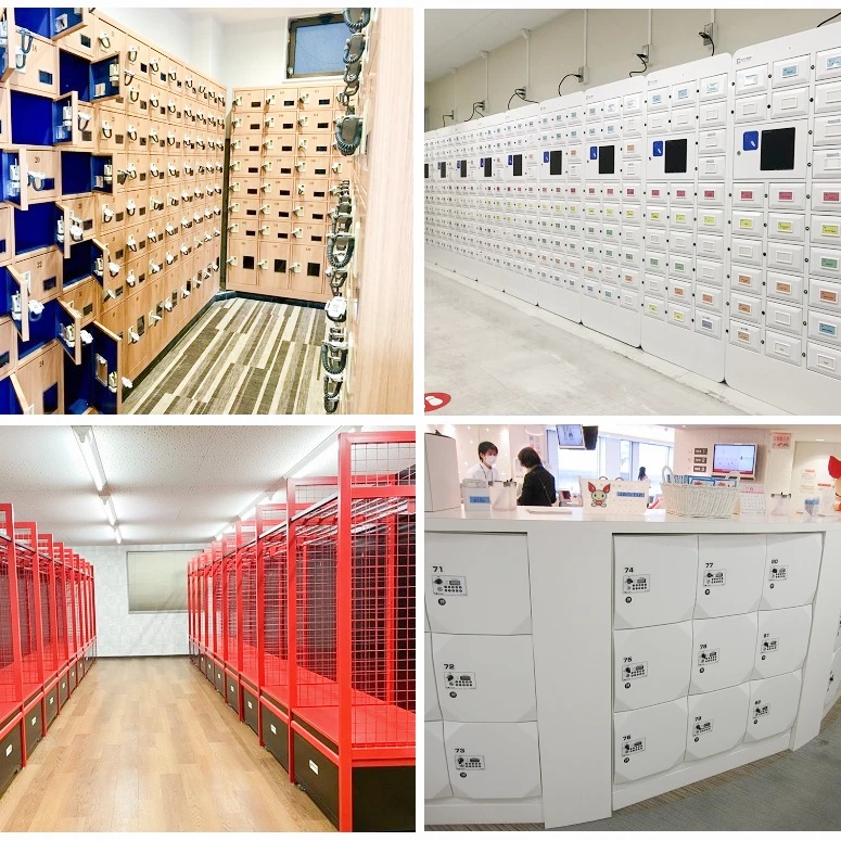 自社開発実績のイメージ画像